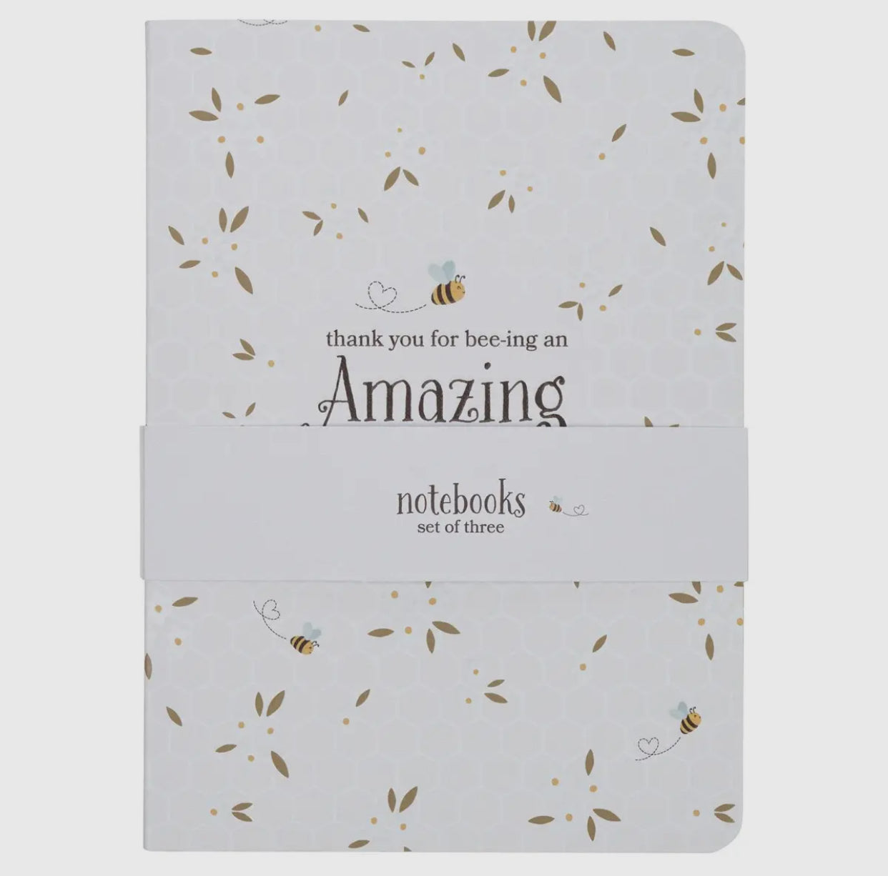 Amazing Teacher Notebook Set