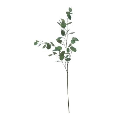 DF1368  Eucalyptus Stem 54.25"H