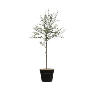 29"H Faux Thyme Topiary in Pot DF2615