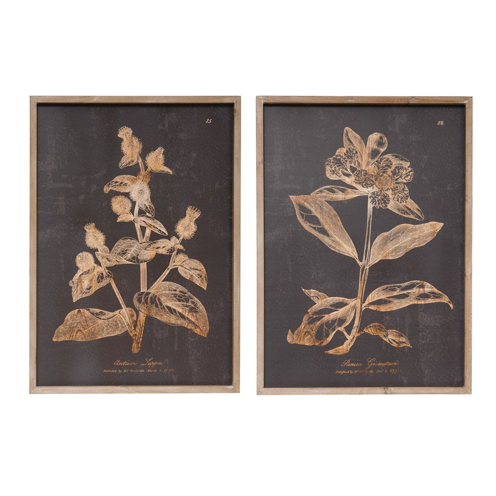 DF3322A  19.5"W x 27.5"H Wood & MDF Wall Decor with Botanical Print, Charcoal Color, 2 Style6