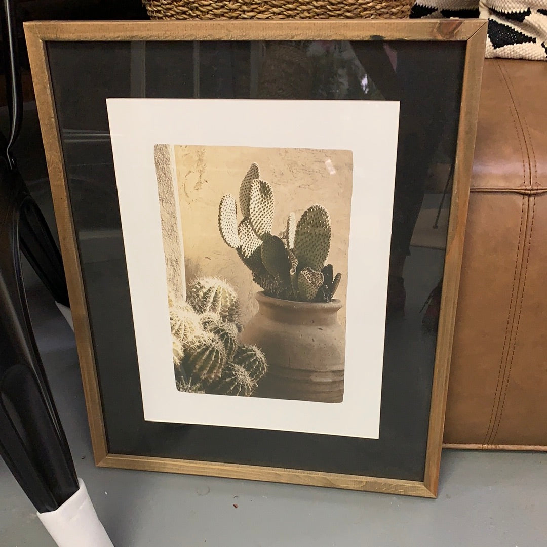 Cactus Photo Framed Art